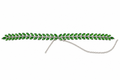 Green Leaf Stone Waist Belt (Kamarband) for Women | Adjustable Bridal Saree & Lehenga Jewelry